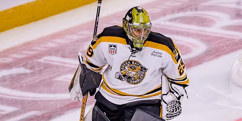 Green Bay Gamblers at Fargo Force at Scheels Arena