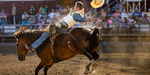 Albemarle Pro Rodeo 2026