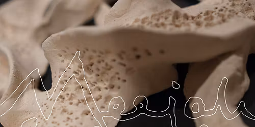 MEEJAH x HIRAKI: Fejring p\u00e5 Godsbanen