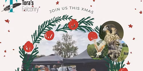 Festive falconry display