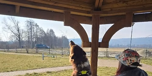KURS Instruktora Nosework - poziom zaawansowany