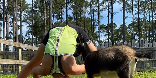 Goat Yoga & Mini Cow Yoga