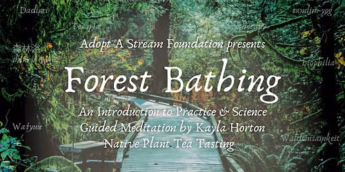 Forest Bathing: An Introduction to Practice & Science