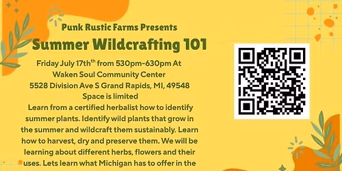 Summer Wildcrafting 101