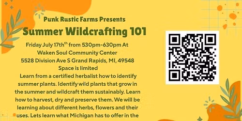 Summer Wildcrafting 101