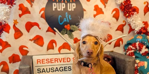 Birmingham - Dashing Dachshund Christmas Tour \ud83c\udf84