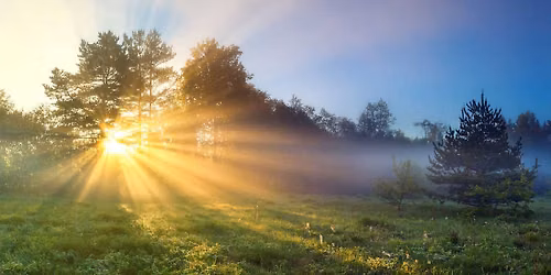 Early Morning Nature Stroll