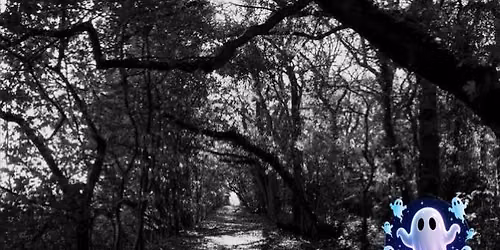 Mystic Nights Ghost Tours- Bradley Woods Grimsby 