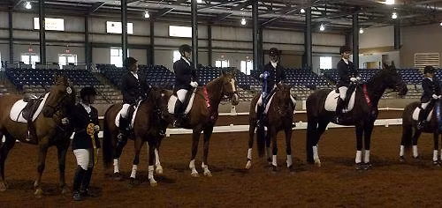 CTDA SCHOOLING SHOW CHAMPIONSHIPS at Harlinsdale Farm, Franklin
