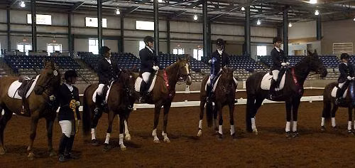 CTDA SCHOOLING SHOW CHAMPIONSHIPS at Harlinsdale Farm, Franklin
