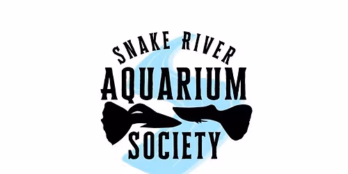 SRAS Club Meeting and Auction