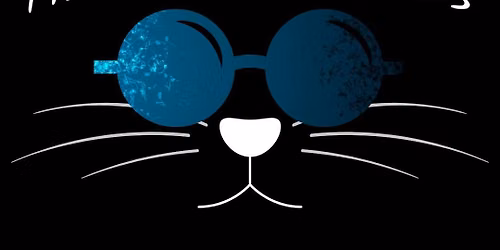 The Cat's Glasses