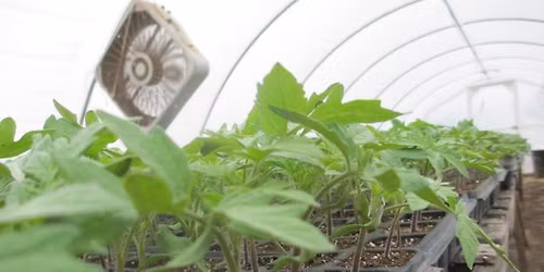 Plant Sale & Wild for Salmon 