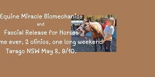 EM Fascial Release Special Event