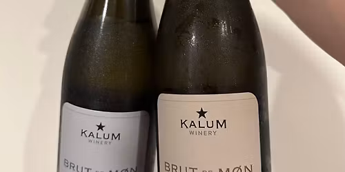 DANSK SKUM - En mousserende smagning af dansk vin n\u00e5r det er bedst