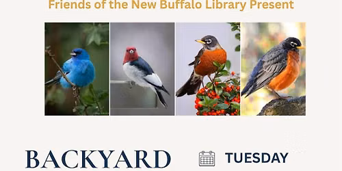 Backyard Birds