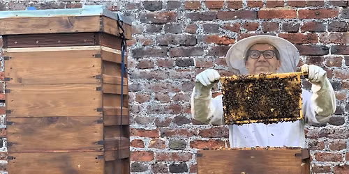 The Hive presents: The Little Bees That Can Do Big