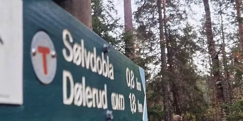 Felles gjennoml\u00f8ping av Hodelyktl\u00f8pet #3