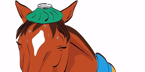 Strangles Eradication & Prevention Program