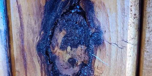 first time in the Gym at Town Hall