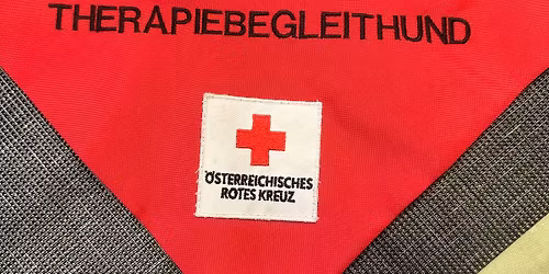 Informationsabend der Therapiebegleithunde