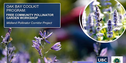 Free Community Pollinator Garden Workshop - Oak Bay Coolkit