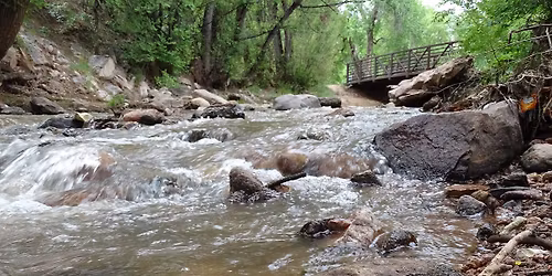 Trash Fairies Debris Day