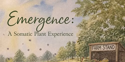 Emergence: A Somatic Plant Experience