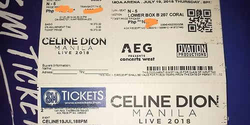 Celine Dion at Paris La Defense Arena