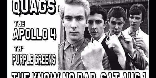 Quags - Apollo 4 - Purple Greens -