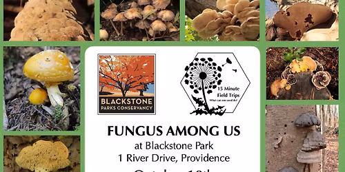 Fungus Among Us Fall Walk