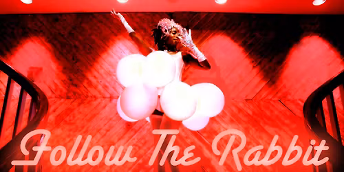 Follow The Rabbit... (9PM)