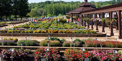 2026 Metrolina Trial Garden Open House