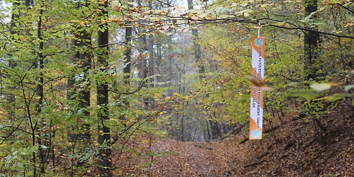 X. Aranyl\u00f3 \u0150sz teljes\u00edtm\u00e9nyt\u00fara