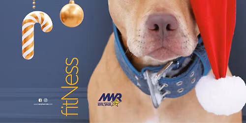 Jingle Bell Pet Walk