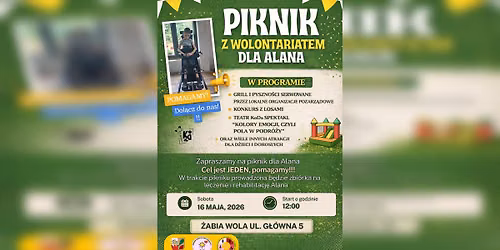 \ud83d\udc9a PIKNIK Z WOLONTARIATEM DLA ALANA \ud83d\udc9a