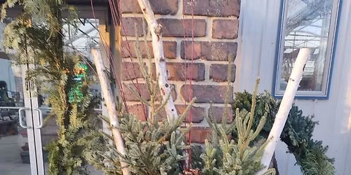 CHRISTMAS POTTING CLASS