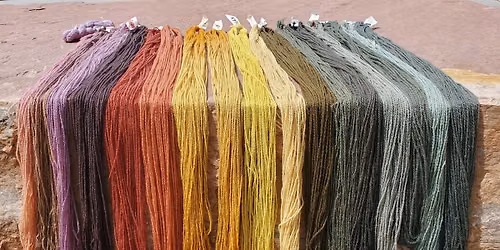 Mushroom and Lichen Dyeing with Fungi of the Rockies\n\n