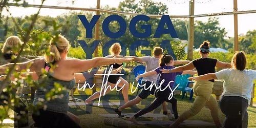 Yoga In the Vines