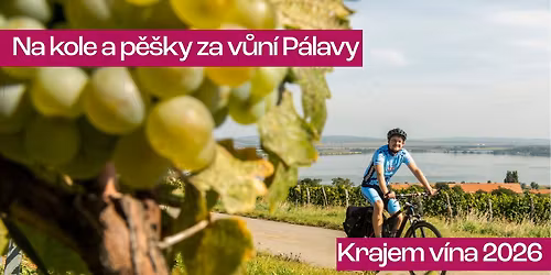 Krajem v\u00edna - Na kole a p\u011b\u0161ky za v\u016fn\u00ed P\u00e1lavy