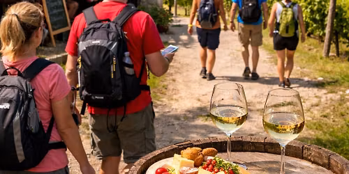 Tavaszi nyitott pinc\u00e9k teljes\u00edtm\u00e9nyt\u00fara