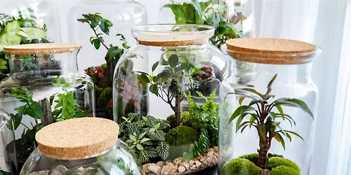 Create A Terrarium Workshop-Granny Camp