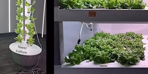Hydroponics Workshop: Feed Smart, Grow Strong (North Las Vegas)