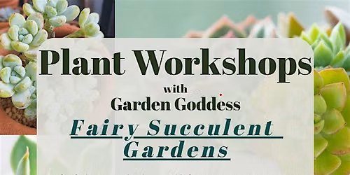 Fairy Succulent Gardens w\/ Garden Goddess
