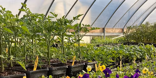 Fair Curve Farm Plant Sale (APRIL) \ud83e\udeb4\u2728