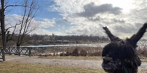 Potsdam Alpaca Hike: Historic Parks, Palaces and Lakeside Brewery