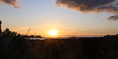 Southern Path parkrun turns ONE!