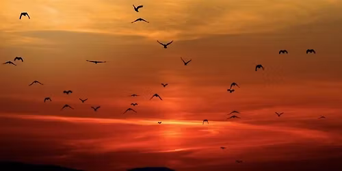 Lighten, Embody Freedom through Energy Practice