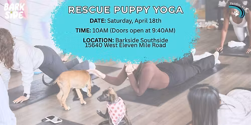Rescue Puppy Yoga at Barkside