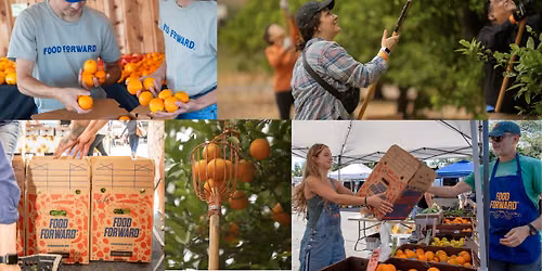 Help recover food locally in Ventura